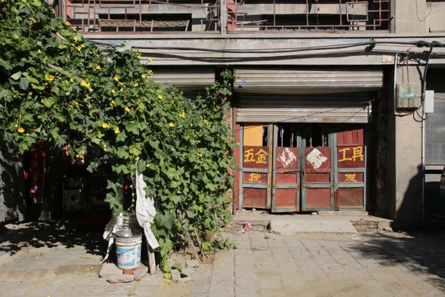 走进辛集商场街，寻百年市井变迁