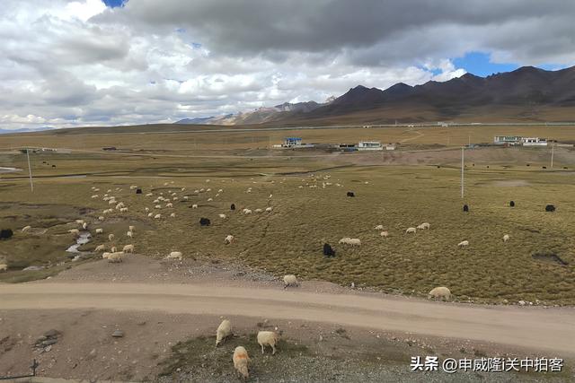从西宁到拉萨：乘坐火车欣赏青藏铁路沿线风光