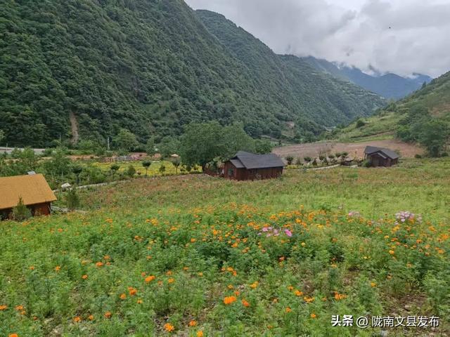 文县：白马藏乡花如海避暑秘境等你来