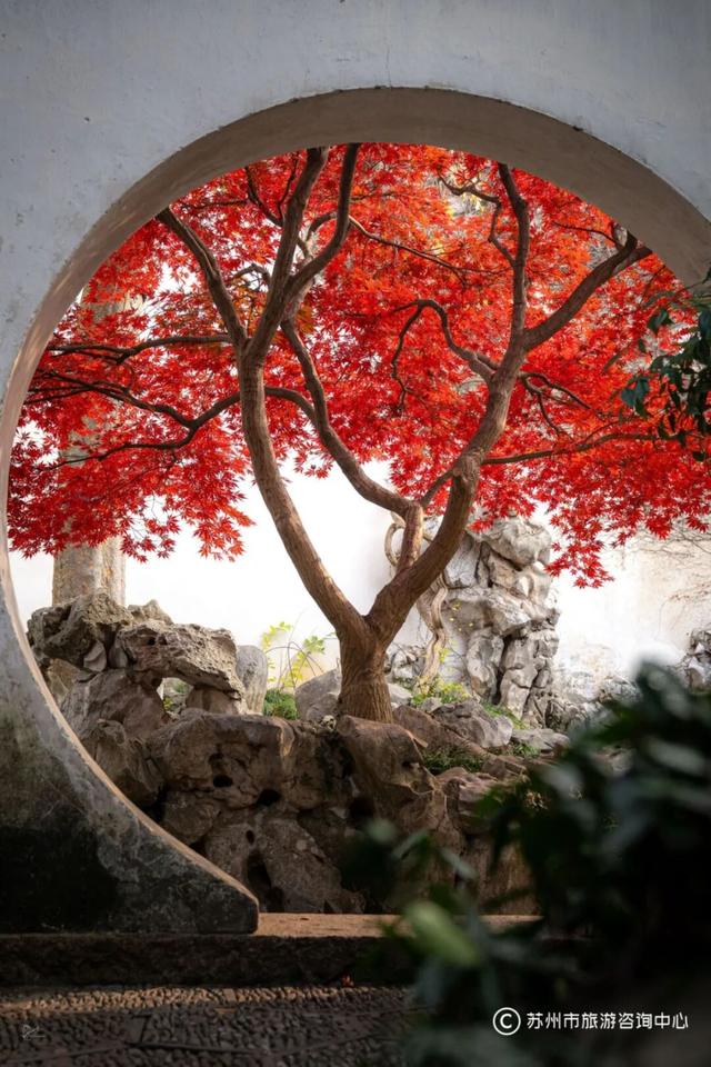 苏州园林秋色拍照攻略！这几个机位包出大片！