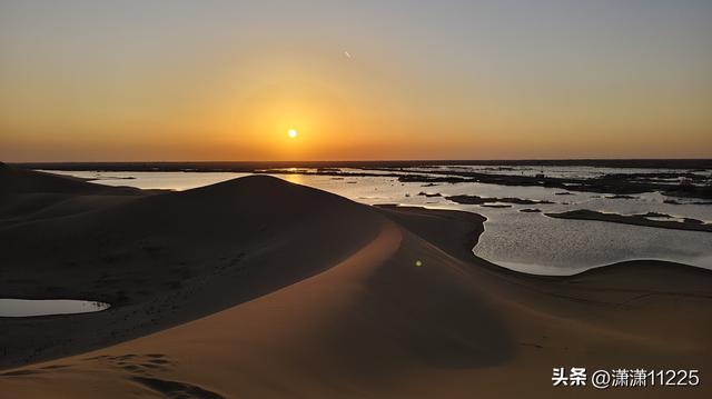 额济纳今年没有金胡杨，有的是创新的套路（1）