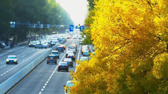 长治的金秋，何处最美？