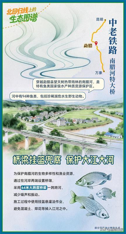 如画卷徐徐展开！跟着中老铁路打卡沿线美景