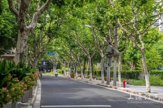 早安！来走走夏日“空调路”~