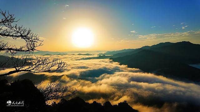 陇上仙境何处寻？秦州李子园——云海、森林与千年乡愁的清凉秘境