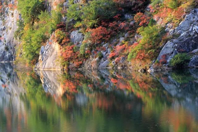 撷英 | 贾婉雪：西狭随笔（散文）