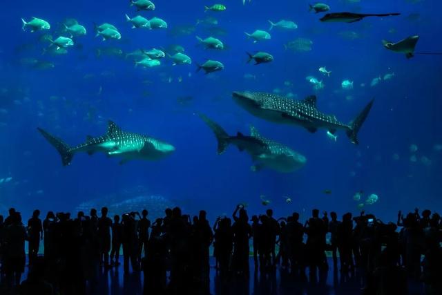 反向过冬“封神榜”！这10个城市温暖又好玩