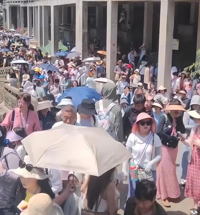 贵州已经失守！避暑圣地游客望不到头，吃碗小吃比攻城还难