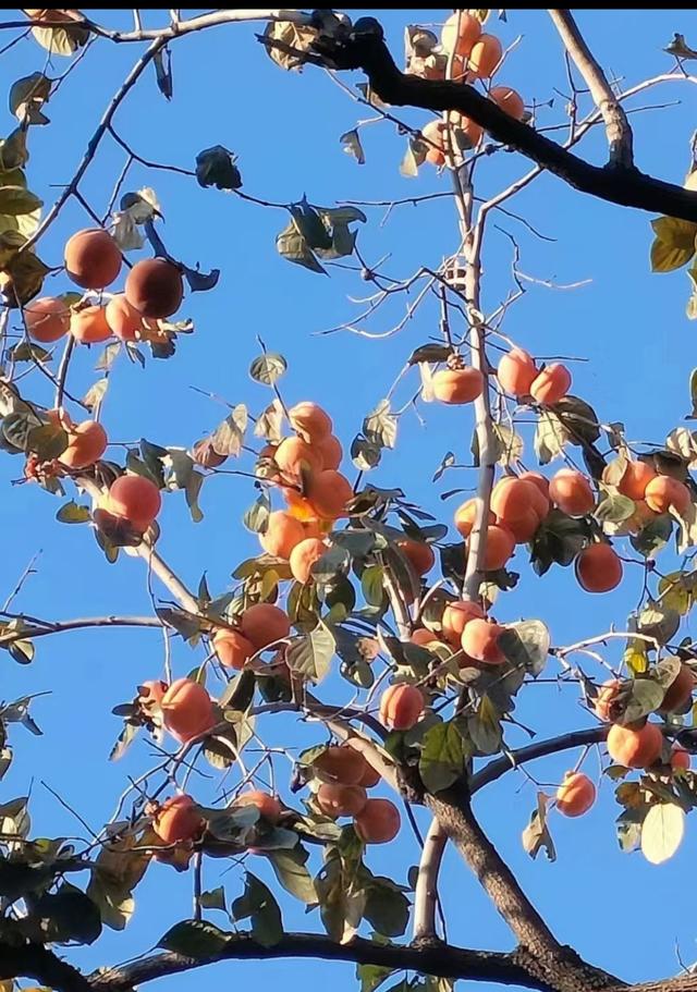 王林平随笔《人随景走景随人转》