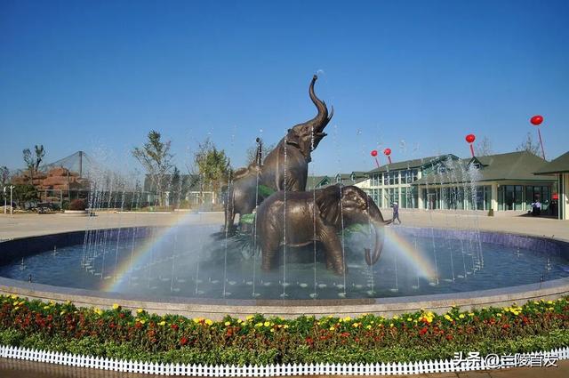 好客山东好品山东｜临沂遛娃去哪儿？初冬攻略收藏就出发～