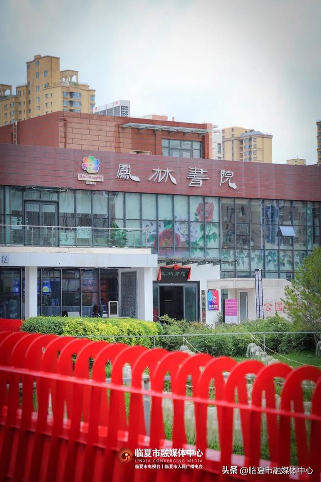 秋雨落，诗意起…邂逅临夏秋雨的美