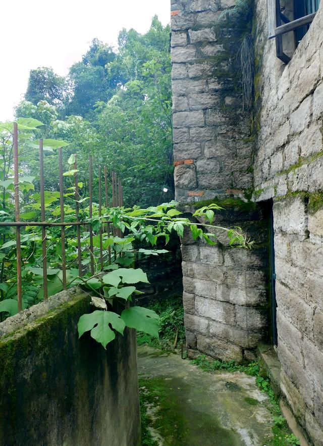 江津朱杨石梯巷，一条鲜为人知的古街巷