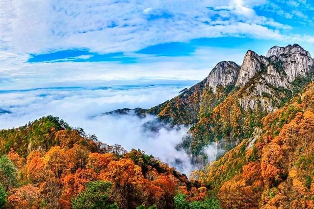 大山里的仙境，漫山红叶，斑斓如画，藏着中国最“英雄”的秋天！