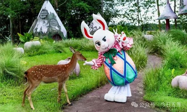 假期就来五莲！解锁超多新玩法！超全攻略→