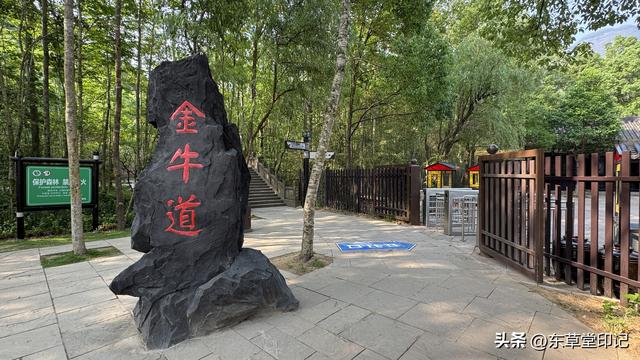 走进广元：解锁这座山水相依的宝藏城市之独特魅力