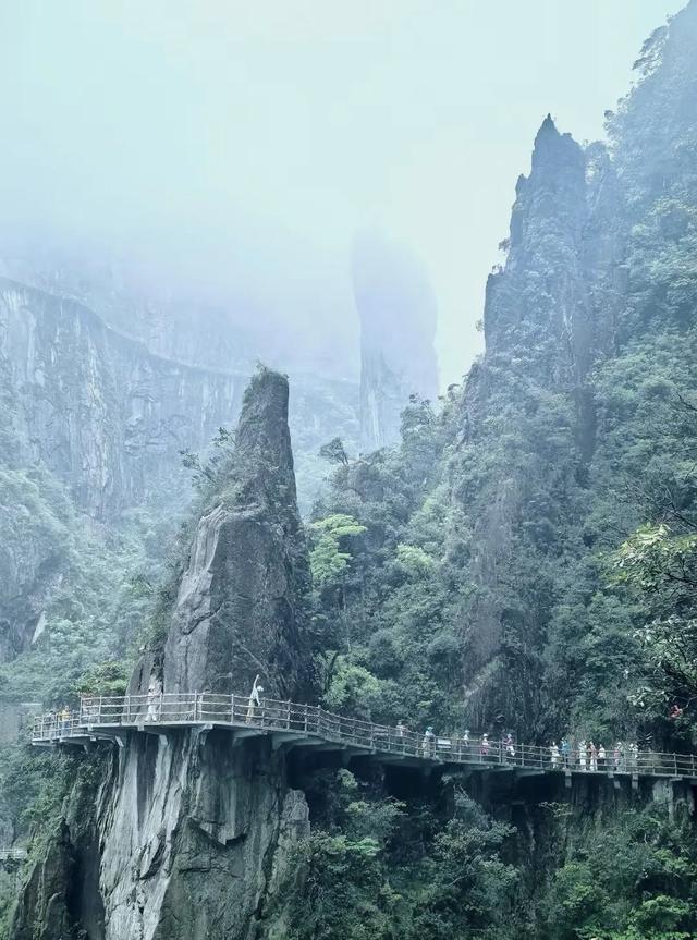 又称人间小张家界，莽山的五指峰。原因是这是一座“不用爬的山”