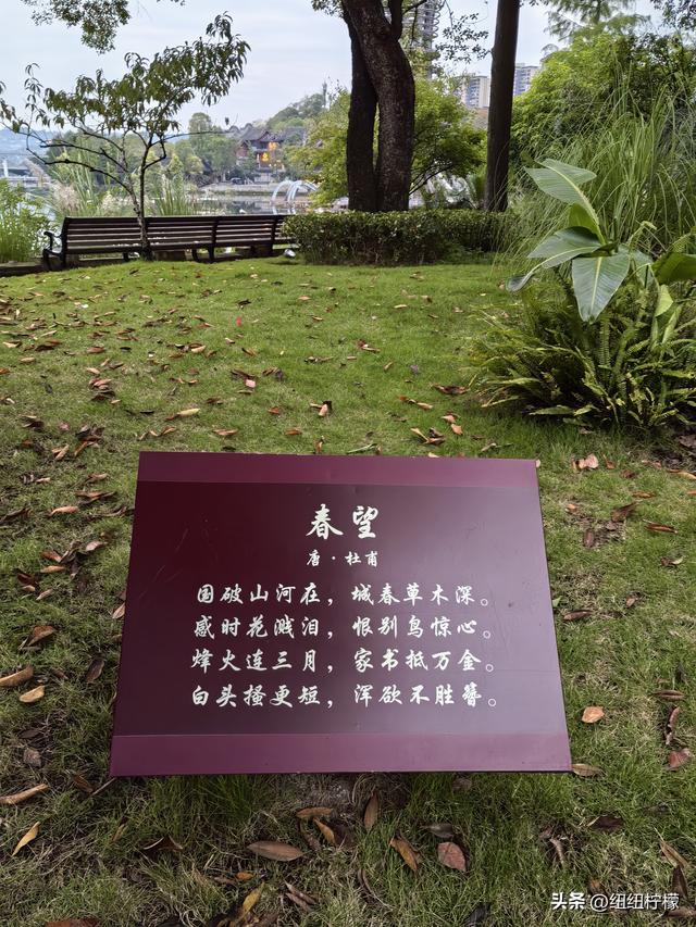 桂香袭来，在秀湖公园闻花香，读一读杜甫的诗，在亲水步道走一走