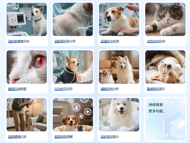 宠智灵AI为宠物美容洗护门店打造数字化与智能化升级方案