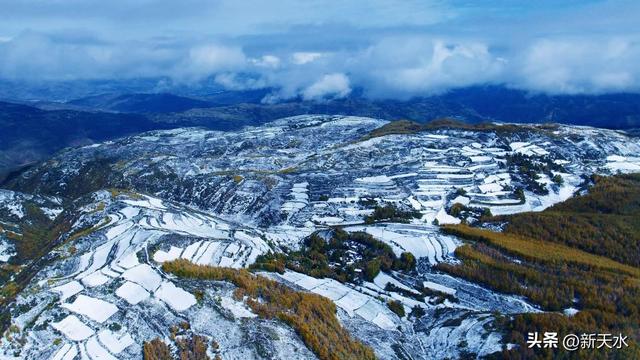 武山县四门麦山：秋红映雪