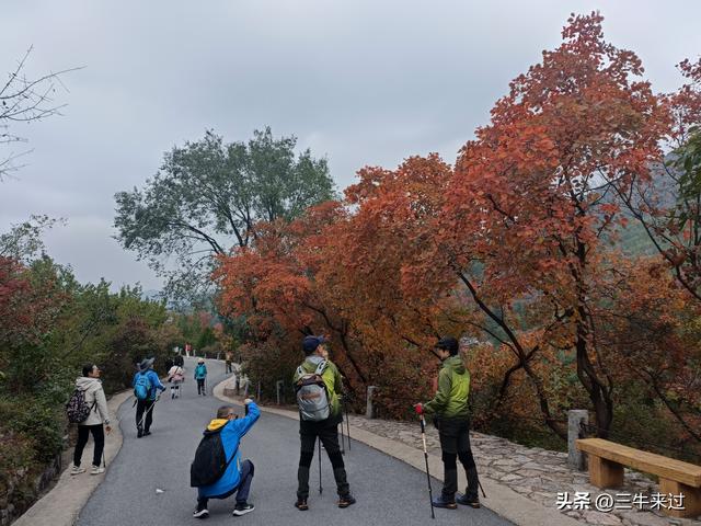无为在歧路，济南红叶谷