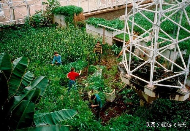33年前，美国曾做过一个实验，将4男4女关一起两年，结果怎样