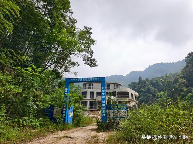 成都徒步（69）·彭州篇⑯法藏寺环线（桥断未走通）