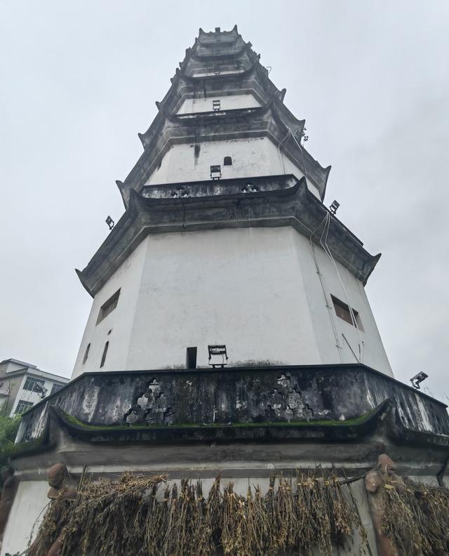 我是北京人，在四川泸州逛了几天，憋不住想讲讲这趟行程的感受	。