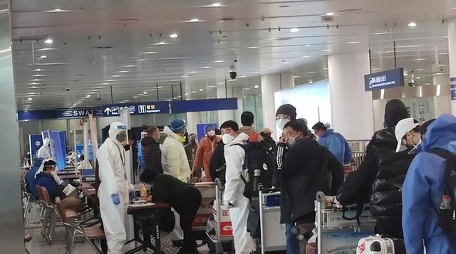 从骆驼商队到二维码，中国退税提速40%，购物热潮再掀新篇