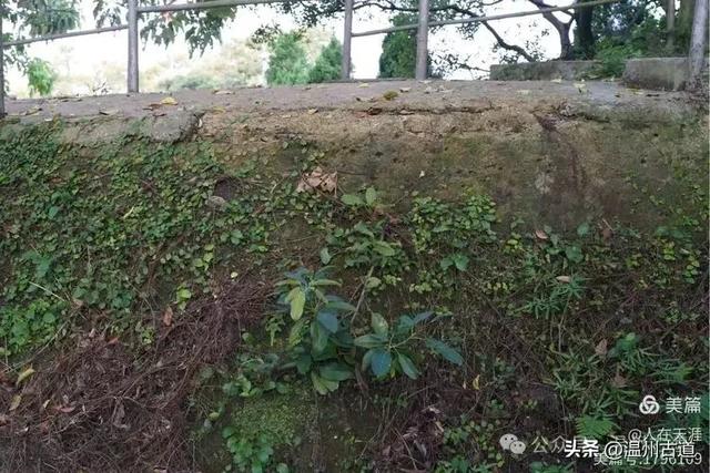 大多数温州人都不知道的摩崖石像和隐蔽炮台，距离很近，你去过吗