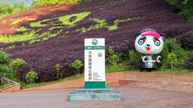 博达作品｜大熊猫国家公园.瓦屋山熊猫博物馆