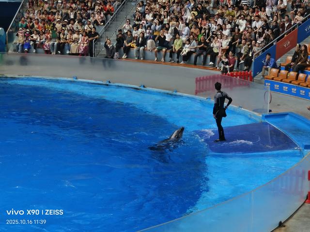 成都 极地海洋公园（58）2025年10月16日