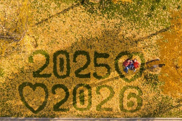 叶落成“景”,明城墙神武路太浪漫了!
