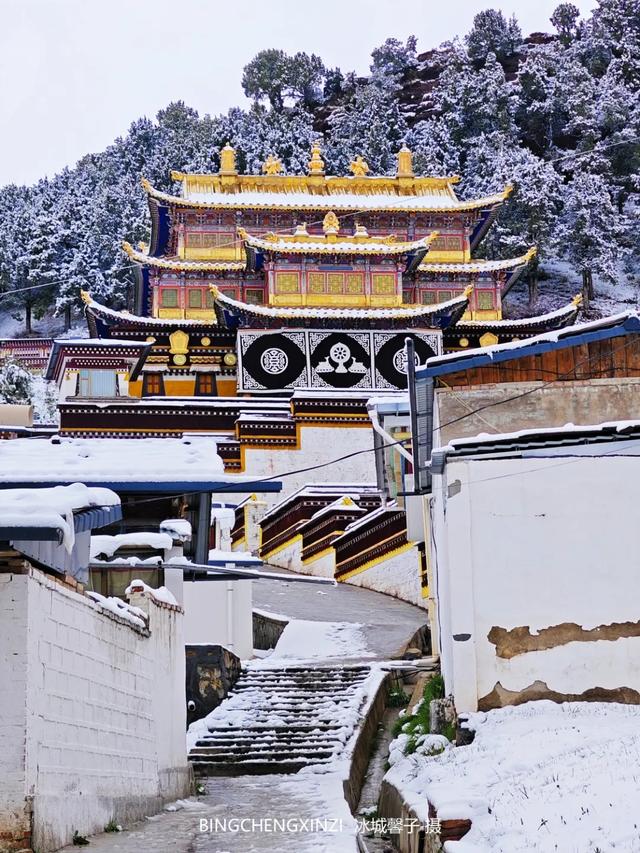甘南-川西北之旅-6︱六月雪吻郎木寺