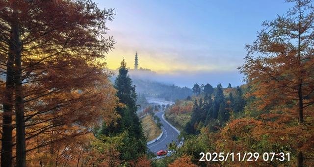 【初冬打卡指南】都匀绿博园“限定红杉雾镜”上线！