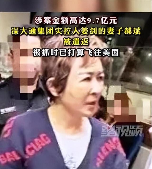 又揪出来一个巨贪	，金额高达9.7亿，首富夫人郝斌跨境逃亡失败了