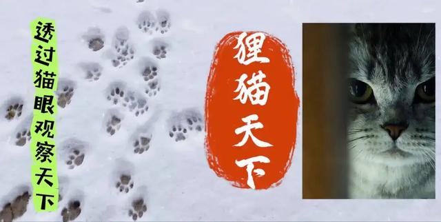 石家庄元氏县有常山气韵,元氏的饸烙香喷喷,殷村凉饸烙多放蒜汁