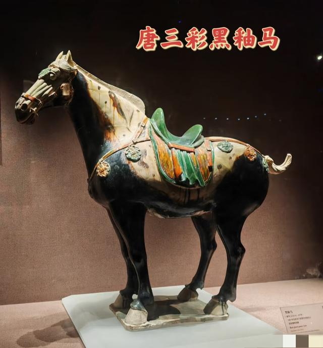 我是上海人，在河南洛阳待了5天	，憋不住想说说我的感受和疑问！