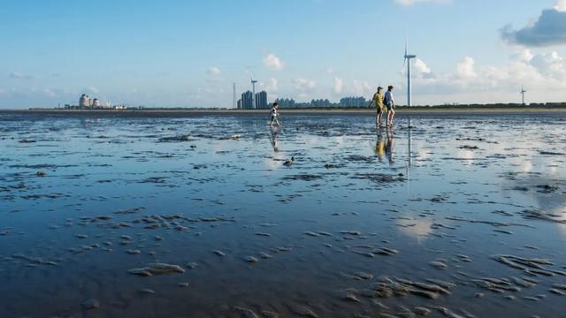 体荟四季｜冲浪、赶海、骑行...江浙沪这些 “动感海岸线”激活你的整个夏天