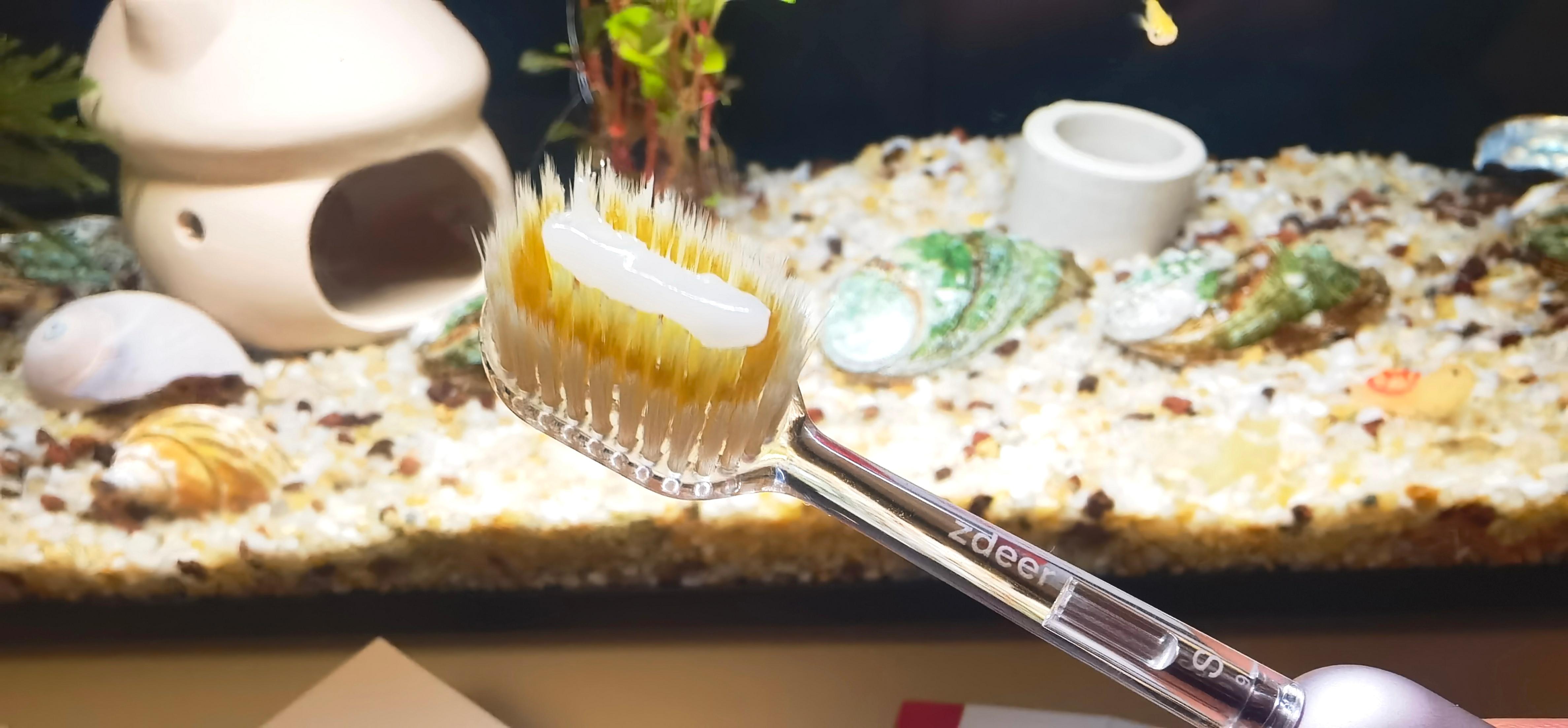 牙釉质修护再生硅牙膏护龈健齿配奢侈风金属柄牙刷,坏牙佬有救了