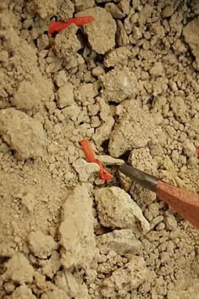 是谁吃了“世界上第一碗面”？青海海东还有多少秘密？