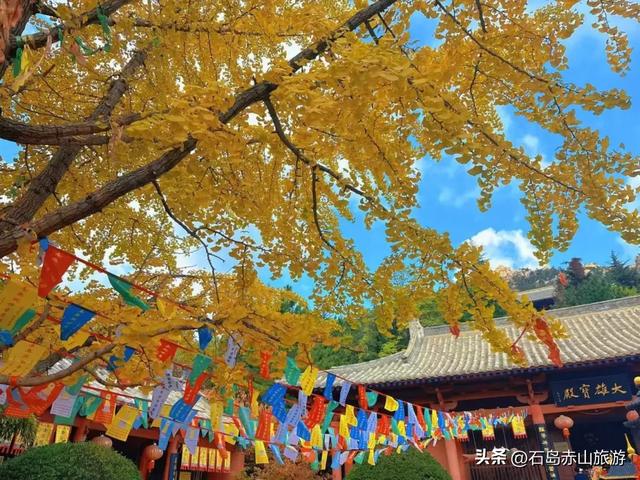 赤山四季皆美景,岁月如画待君游