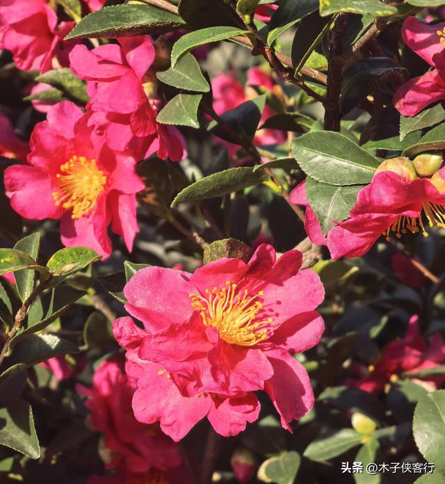 从紫阳一路慢游至五里炊烟民宿