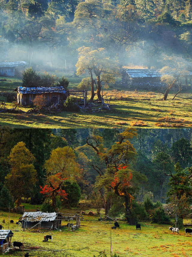 “冬游西藏”福利拉满！跟着《奔跑吧》游西藏太值了