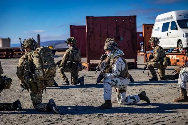 谈崩了！7国增兵格陵兰岛，美国轻飘飘的2句话	，让丹麦和冰岛冒汗