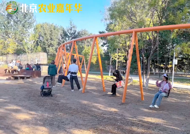 萌宠互动+无动力狂欢！来昌平解锁亲子游新玩法