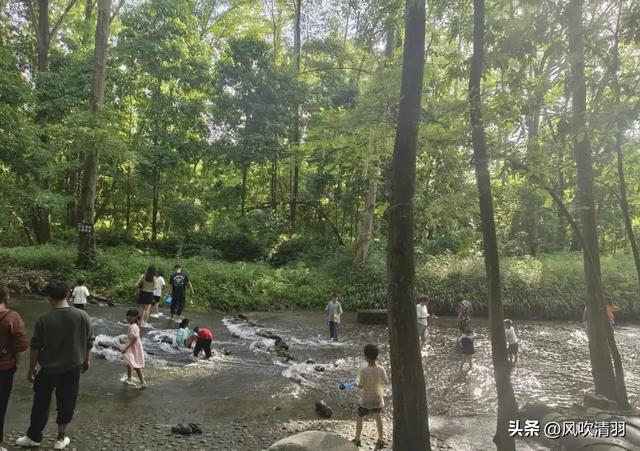 成都一个低调4A级森林公园，有240多年历史，都市人的“后花园”