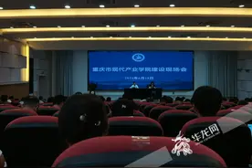 促进产教融合、协同创新 重庆市现代产业学院建设现场会召开图片