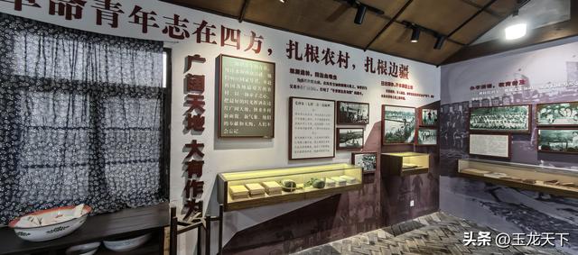 晨光与深呼吸：在同里湿地公园的万步悠然