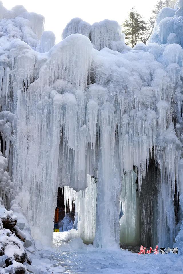 冬日里的甘肃，藏着多少惊喜？