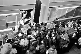 回家——上海知青16岁下乡东北，漂泊27年后终返故乡图片